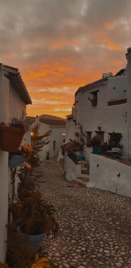 La Casita De Las Mariposas Frigiliana Dış mekan fotoğraf